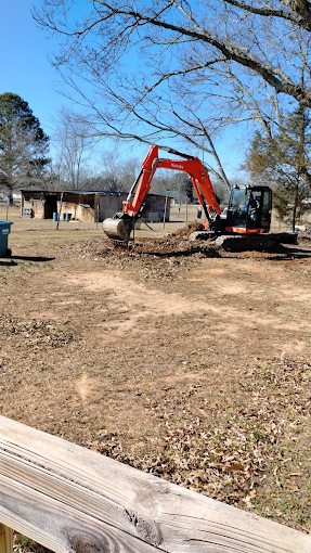 The Importance of Professional Tree Care in Greene County, GA