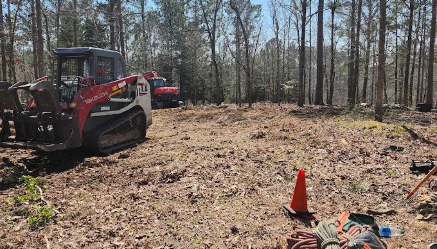 Professional Tree Stump Grinding in Athens, GA | Al's Outdoor Needs