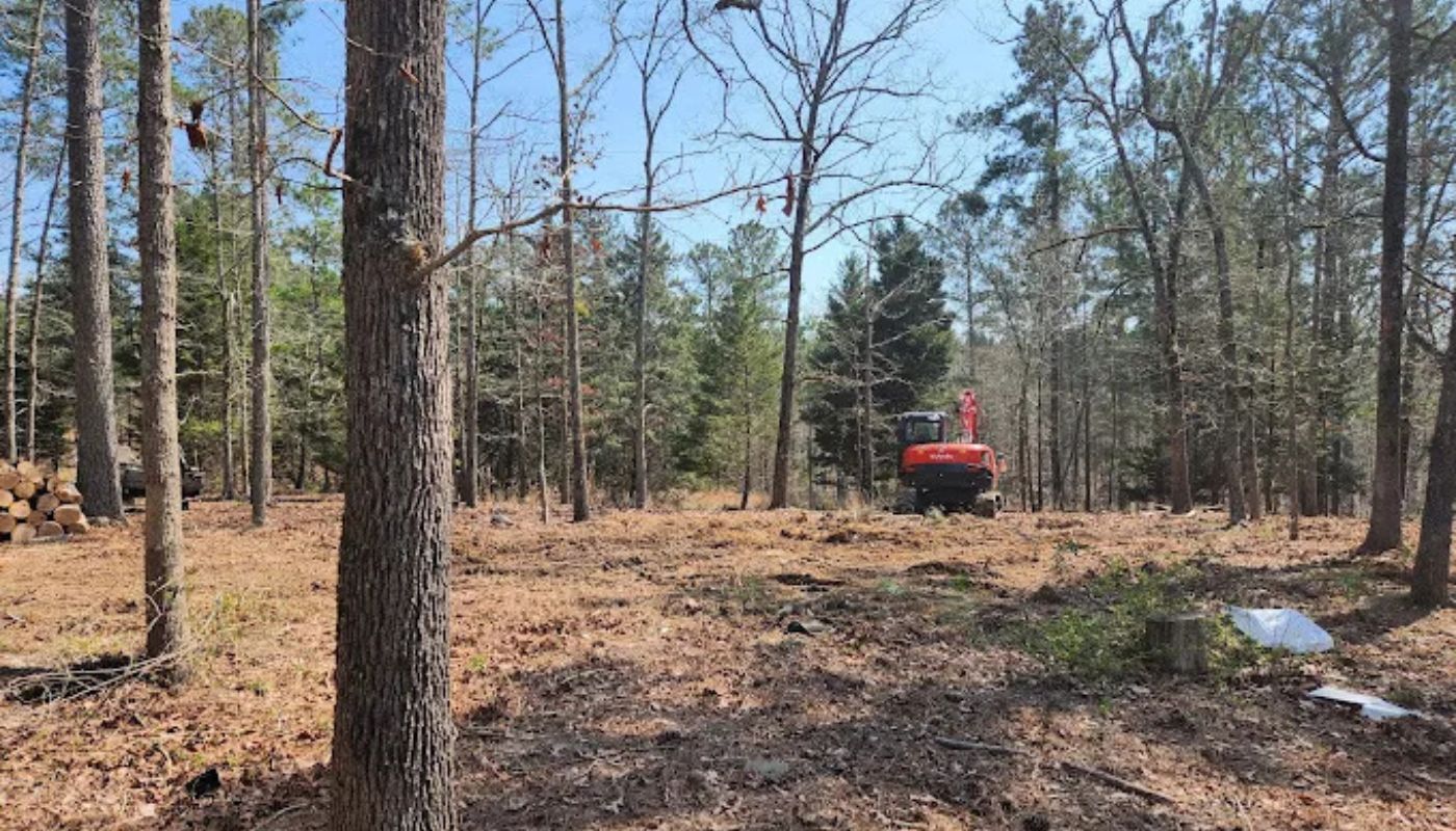 Locust Grove Tree Removal Service