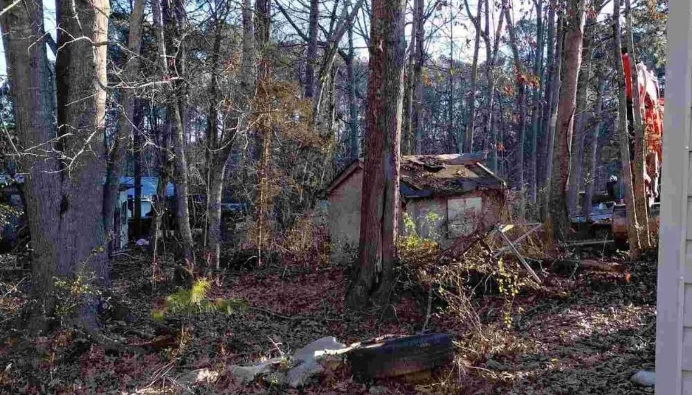 Tree Trimming Service in Panthersville