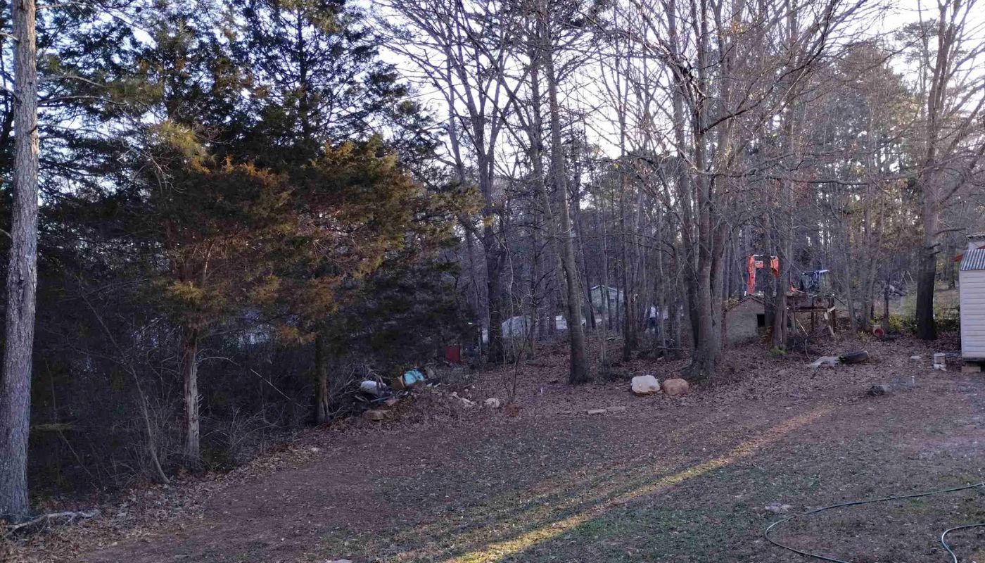 Tree Trimming Service in White Plains
