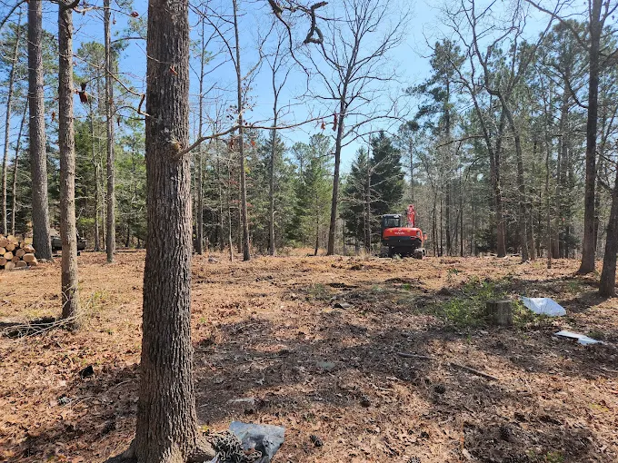 How Much Does It Cost To Remove A Fallen Down Tree In Winder, GA